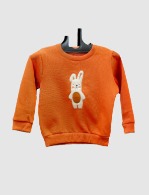 Full Sleeve Sweatshirt - Orange